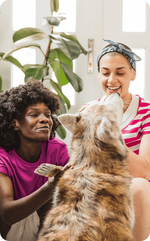 Young couple petting their dog